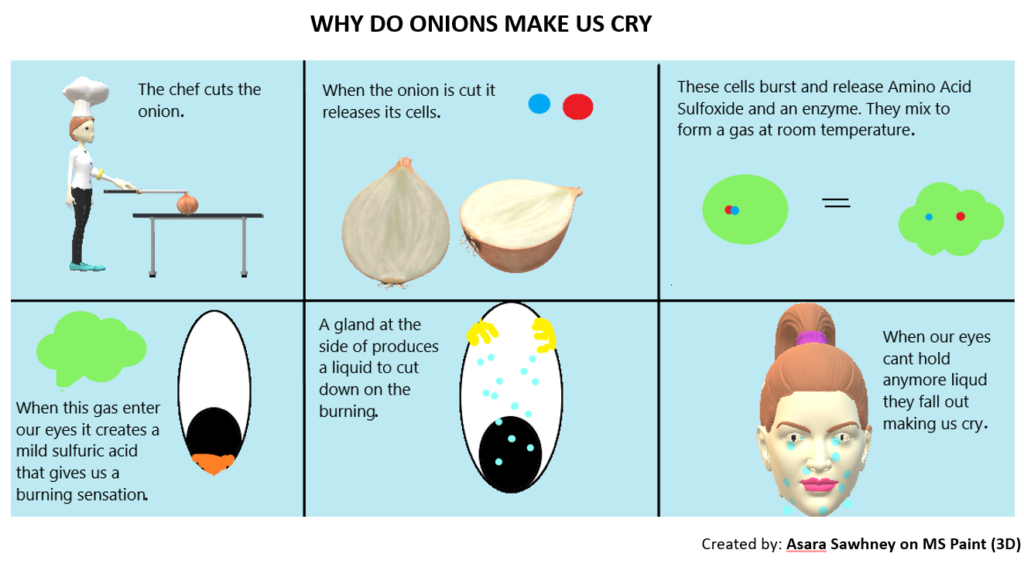 why-do-onions-make-us-cry-i-kid-you-not