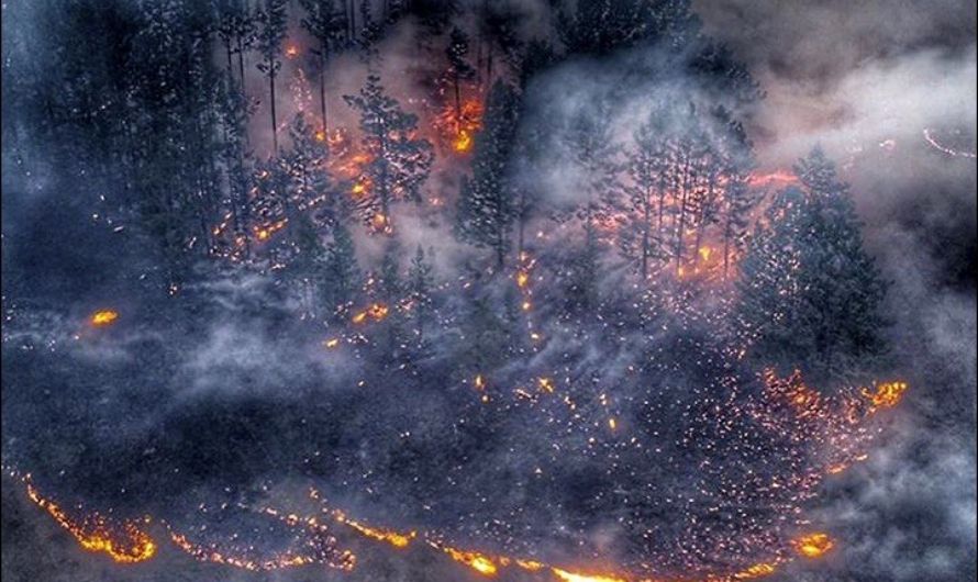 Wildfires in Siberia Burn An Area Bigger Than Greece | I Kid You Not