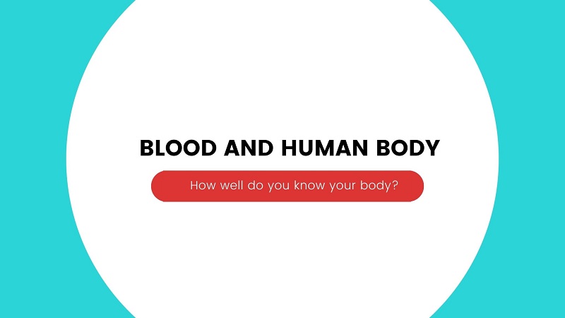 Blood and Human Body Quiz | I Kid You Not